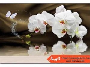 Tranh treo spa sang trọng hoa lan cánh bướm trắng AmiA 0804162024